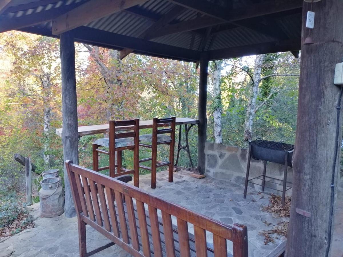 Maple Grove Villa Hogsback Kültér fotó