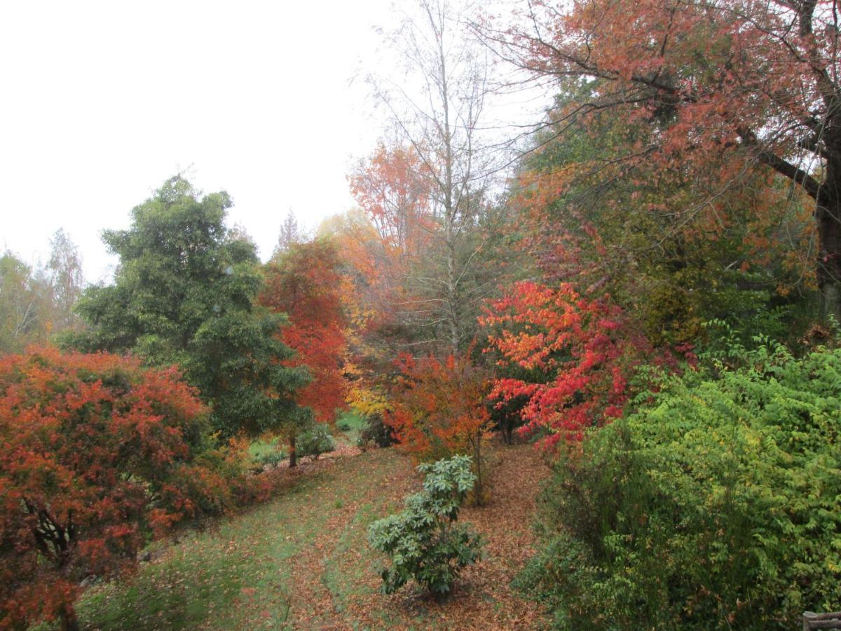 Maple Grove Villa Hogsback Kültér fotó