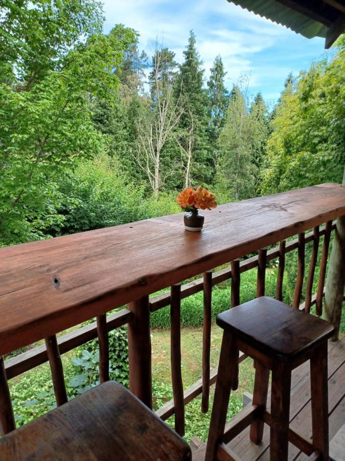 Maple Grove Villa Hogsback Kültér fotó