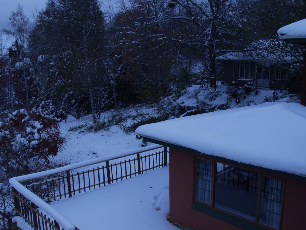 Maple Grove Villa Hogsback Szoba fotó