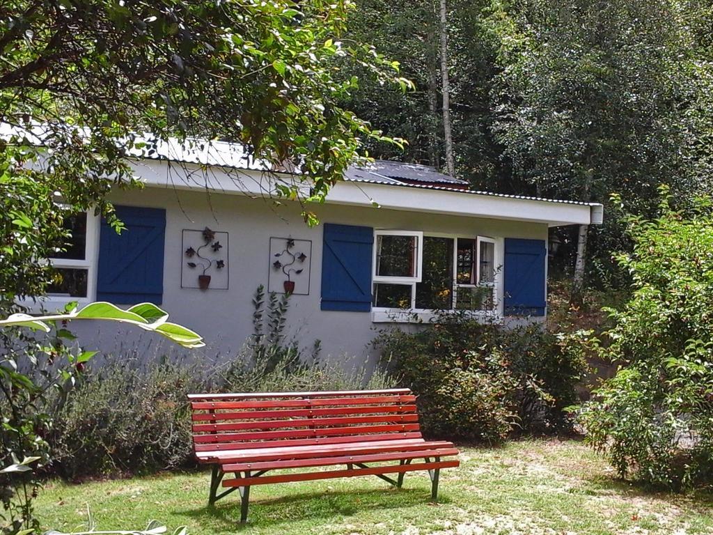 Maple Grove Villa Hogsback Kültér fotó
