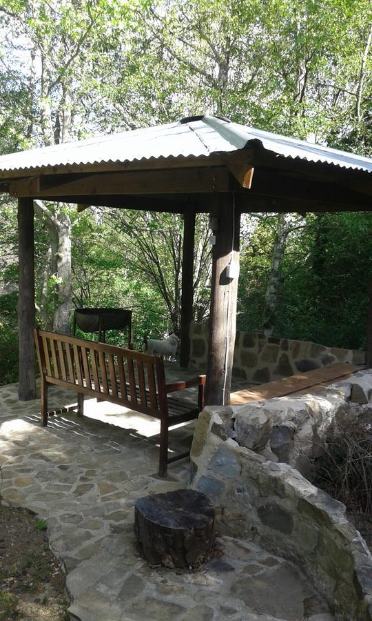 Maple Grove Villa Hogsback Kültér fotó