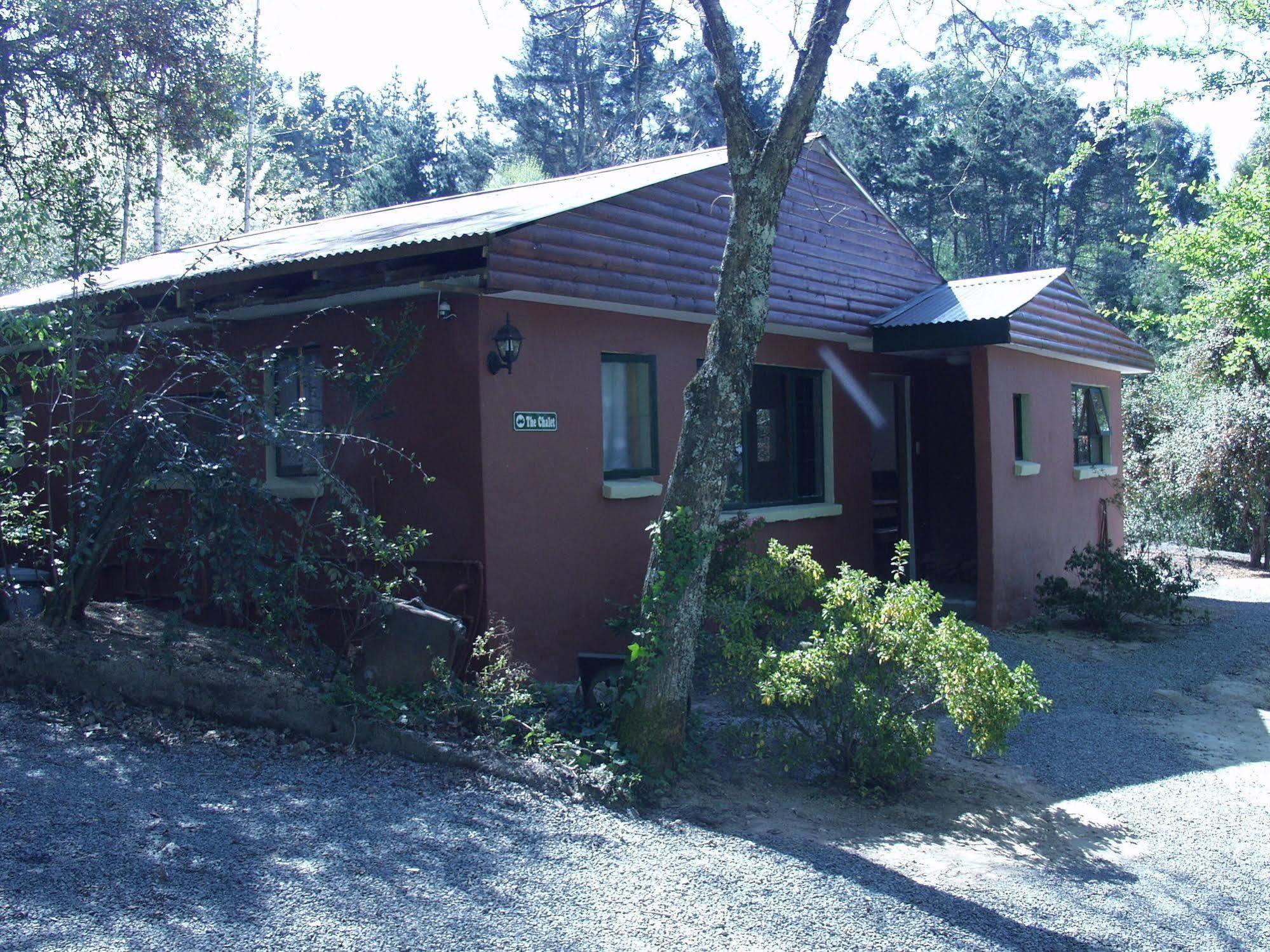 Maple Grove Villa Hogsback Kültér fotó