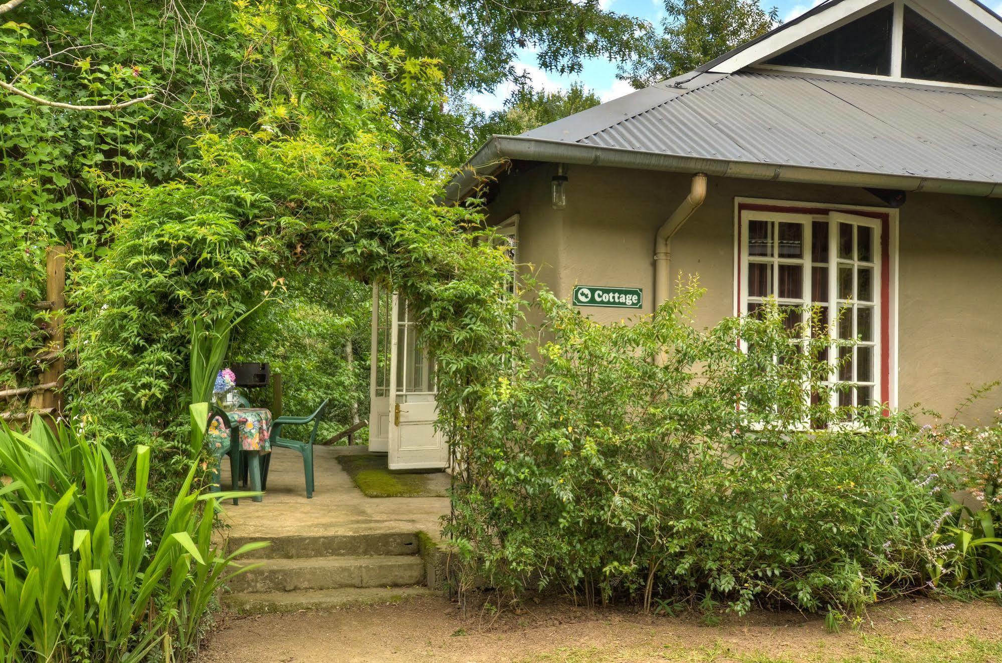 Maple Grove Villa Hogsback Kültér fotó