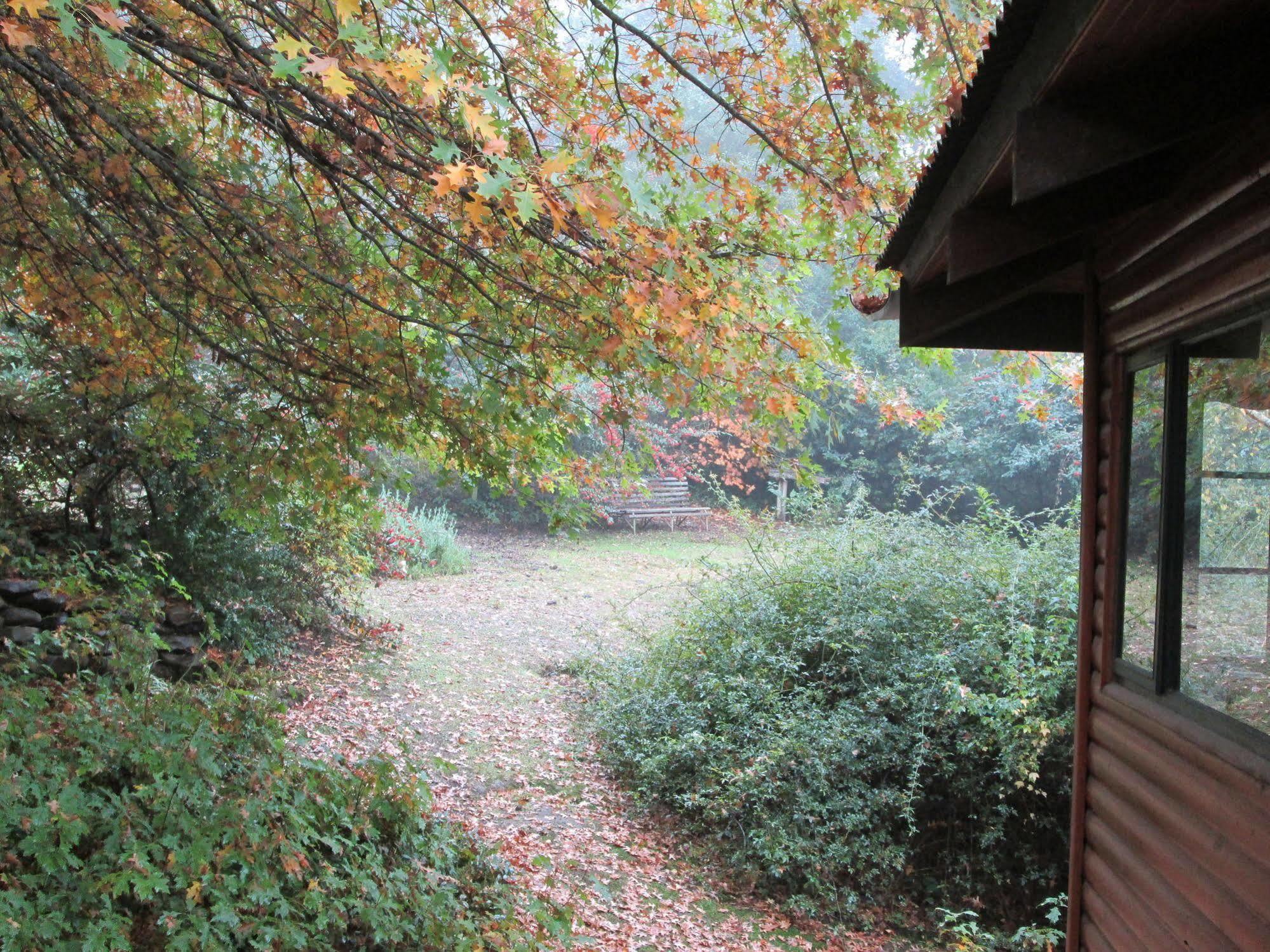 Maple Grove Villa Hogsback Kültér fotó