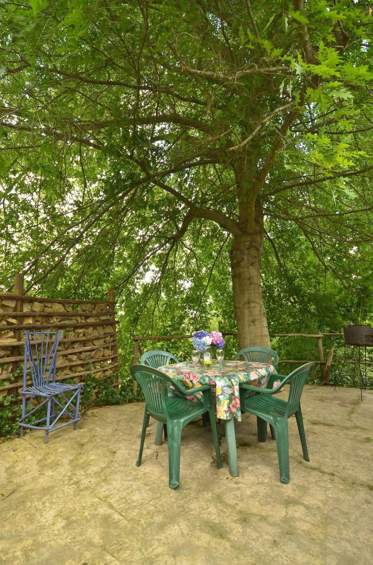Maple Grove Villa Hogsback Kültér fotó