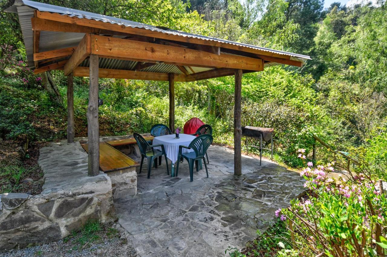 Maple Grove Villa Hogsback Kültér fotó
