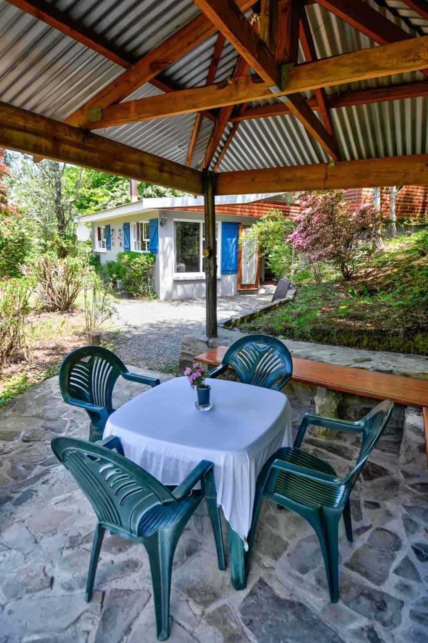 Maple Grove Villa Hogsback Kültér fotó