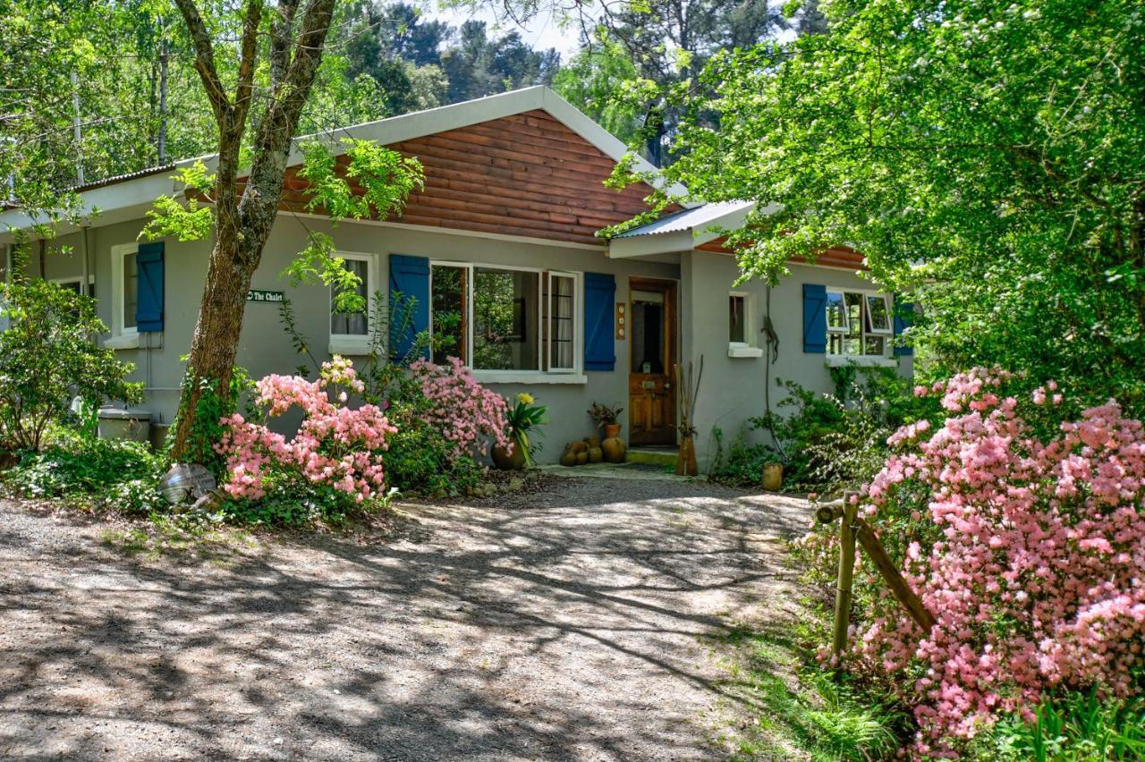 Maple Grove Villa Hogsback Kültér fotó