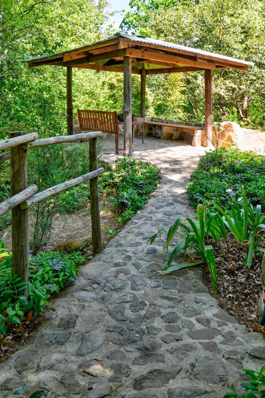 Maple Grove Villa Hogsback Kültér fotó