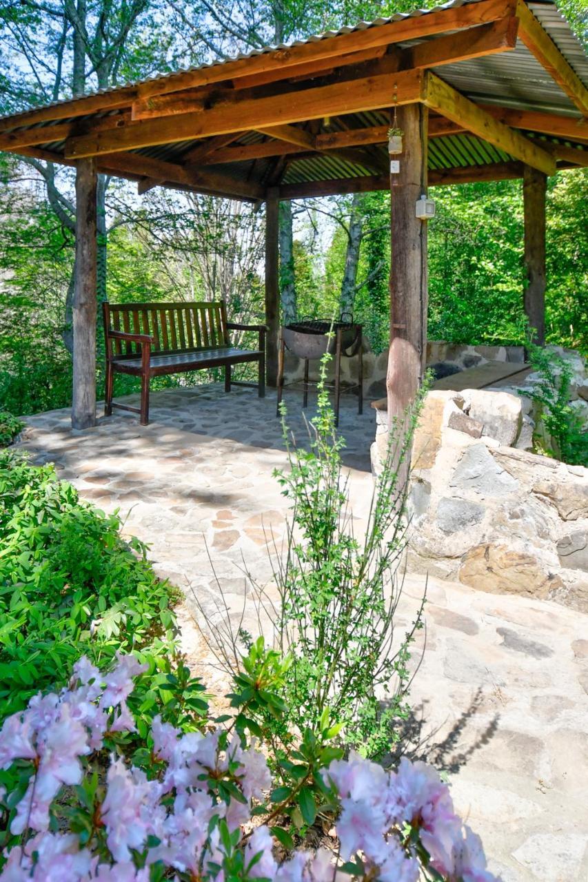 Maple Grove Villa Hogsback Kültér fotó